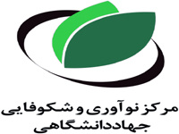 راه‌اندازی دو مرکز نوآوری و شتابدهی در جهاددانشگاهی همدان و مازندارن